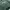 Casual Hoody Pria green photo 2