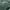 Casual Hoody Pria Green