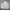 Arnold Palmer Casual Bomber jacket Pria white photo 2