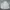 Arnold Palmer Casual Bomber Jacket Pria White