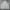 Arnold Palmer Casual Bomber jacket Pria white photo 4