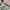 New Balance Gorpcore Indie Sneakers Pria white gray photo 2