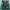 The North Face Hyvent Parka Jacket Pria Green photo 5