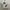 ZARA ART RARE LIMITED CREWNECK photo 2
