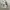 ZARA ART RARE LIMITED CREWNECK photo 1