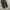 Gu uniqlo washed relaxed pants photo 5