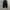 field trip one tuck wide pants photo 3