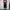 Y2k jorts pants carpenter jeans Dimitri black photo 3