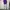 Long pants sweatpants serut ballon fit photo 3