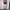 Long pants sweatpants serut ballon fit photo 2