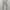 ZARA WOMAN Floral Denim Jeans Pants
