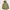 Uniqlo Casual Parka Wanita Tan