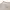 Acne Studios Luxury Minimalist Culotte Wanita white photo 2