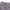 Lafudge Streetwear Minimalist Short Pria gray photo 2
