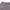 Lafudge Streetwear Minimalist Short Pria gray photo 5