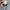 Vintage BAPE x Post Overalls Hickory Carpenter Pants FW 96 photo 6