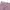 Obey Streetwear Jeans Pria pink photo 2