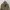 DOG HOUSE Anorak Cagoule Military Jacket photo 3