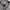DOG HOUSE Anorak Cagoule Military Jacket photo 7