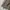 DOG HOUSE Anorak Cagoule Military Jacket photo 6