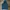 Jacket Arcteryx Recco Gore-tex photo 1