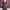 Black Bodycon Ribbon Coquette Grunge Y2K Dress photo 1