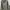 Jacket Covernat photo 3
