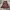 Y2K Fairy Maxi skirt Wanita brown photo 1