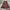 Y2K Fairy Maxi Skirt Wanita Brown