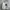 Converse Streetwear Y2K Fleece Pria White Cream