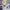 Kaos anime Love Live! School Idol Project // Umi Sonoda, Eli photo 4