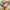Kaos anime Love Live! Sunshine!! // Chika Takami photo 3