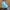 Jaket Puffer Quilted Ellese Baby Blue  photo 4