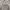 Uniqlo Streetwear Y2K Sweatshirt Wanita gray photo 2