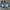 Y2k design s jean embroidery distressed faded hotpants photo 5