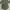 Oneset photo 1