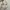Michael Kors Minimalist Shoulder Bag Wanita Tan Cream