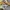 NIKE SMALL LOGO photo 4