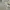 NIKE SMALL LOGO photo 1