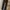 IST KUNST BLACK JEANS photo 1