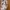Adidas Y2K Sportswear Tote bag Wanita gray photo 5