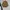 Jacket parka outdoor art avant garde photo 1