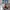 Tracktop Adidas AOP Sneakers photo 5
