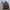 Tracktop Adidas AOP Sneakers