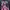 Kaos anime Darling in the Franxx // Zero Two photo 2