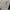 Kate Spade Futurist Casual Crossbody Bag Wanita white photo 6
