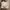 Kate Spade Futurist Casual Crossbody Bag Wanita white photo 2