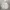ADIDAS ZNE ZIP HOODIE photo 1