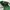 Topi Obey Bunt Hat Dark Green Snapback Logo Simpel Huruf O photo 5