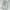 LE COQ SPORTIF QUILTED JACKET photo 1